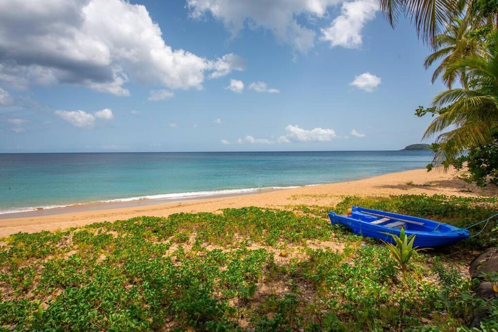 Vwe Moun Bay Apartment Deshaies Luaran gambar