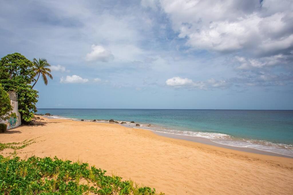 Vwe Moun Bay Apartment Deshaies Luaran gambar